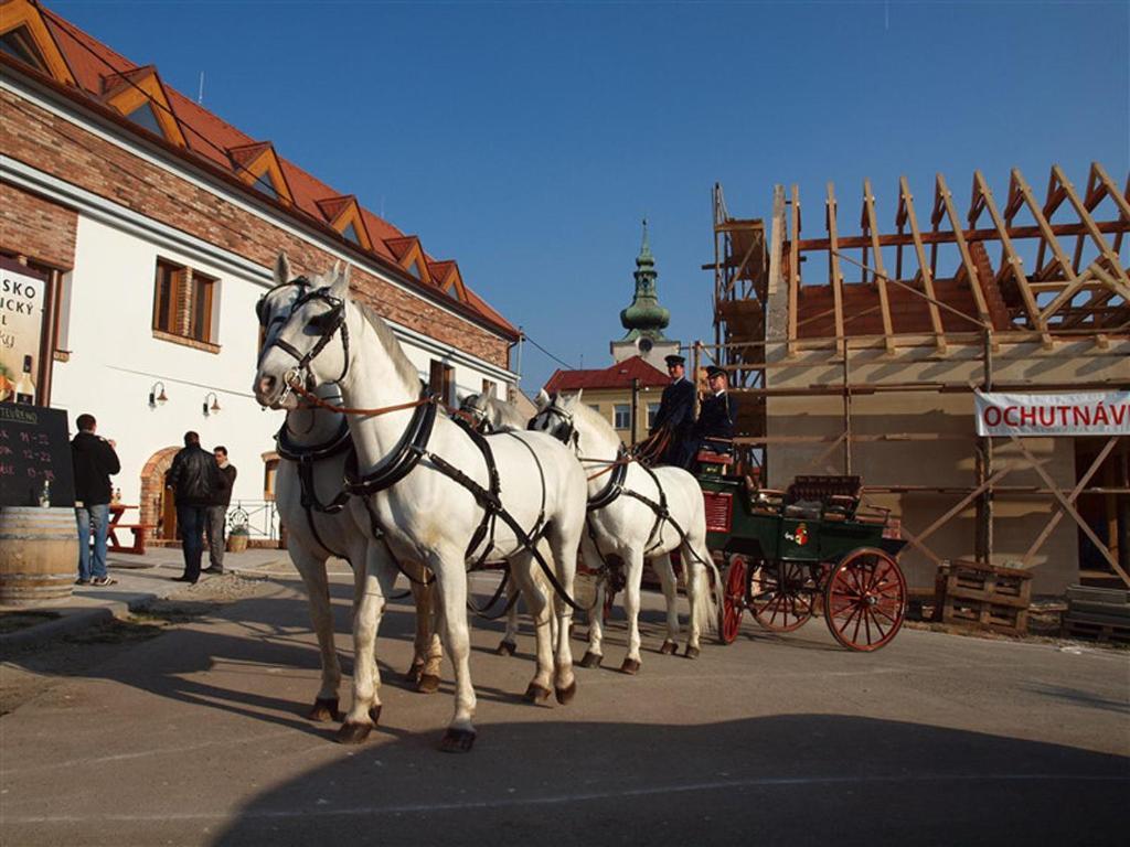 Penzion A Restaurace Vinarstvi Přítluky Dış mekan fotoğraf